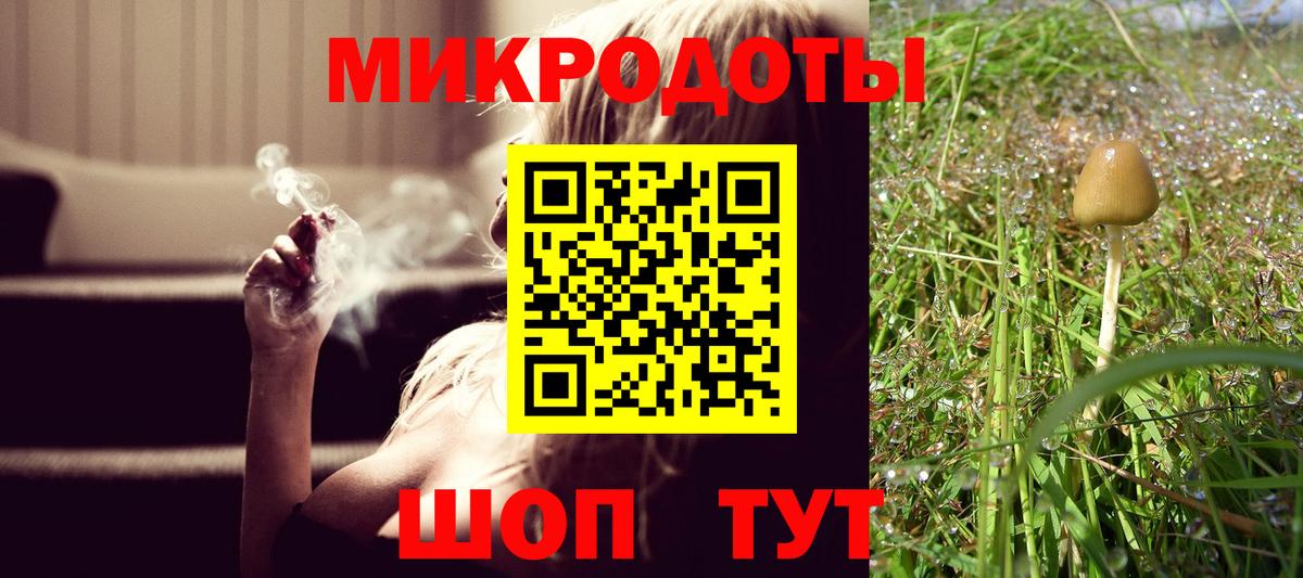 Псилоцибиновые грибы MAGIC MUSHROOMS  Псилоцибиновые грибы мицелий  Прохладный  Вход с VPN 