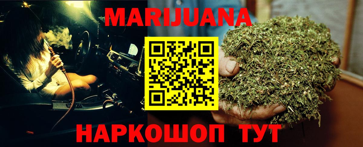 Конопля сатива Прохладный